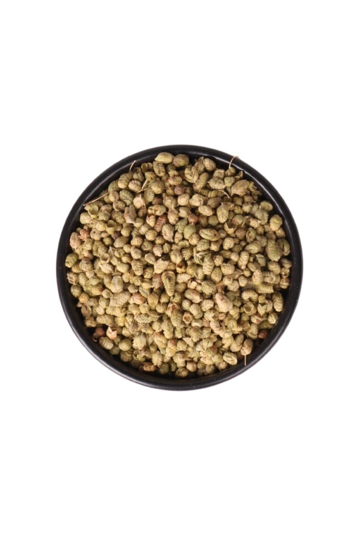 Mevlana Bilye Kekik Baharat 500 gr